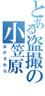 とある盗撮の小笠原Ⅱ（おがさわら）