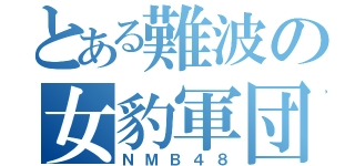 とある難波の女豹軍団（ＮＭＢ４８）