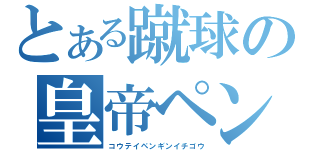 とある蹴球の皇帝ペンギン１号（コウテイペンギンイチゴウ）