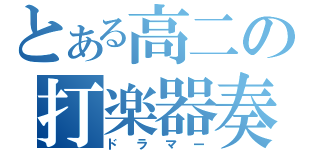 とある高二の打楽器奏者（ドラマー）