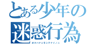 とある少年の迷惑行為（ボクハナニモシテナイノニ）