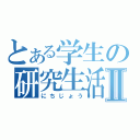 とある学生の研究生活Ⅱ（にちじょう）