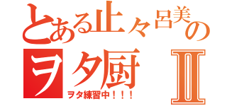 とある止々呂美のヲタ厨Ⅱ（ヲタ練習中！！！）