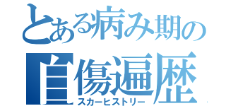 とある病み期の自傷遍歴（スカーヒストリー）