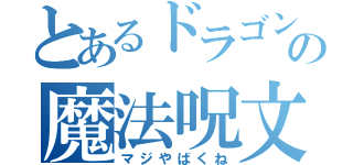 とあるドラゴンの魔法呪文（マジやばくね）