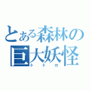 とある森林の巨大妖怪（トトロ）