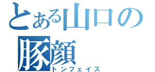 とある山口の豚顔（トンフェイス）