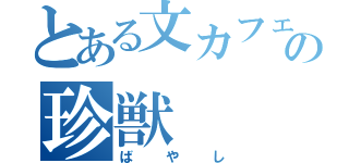 とある文カフェの珍獣（ばやし）