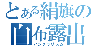 とある絹旗の白布露出（パンチラリズム）