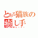 とある猫族の癒し手（神ヒーラー）