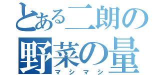 とある二朗の野菜の量（マシマシ）