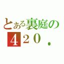 とある裏庭の４２０．（）