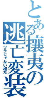 とある攘夷の逃亡変装（ヅラじゃない桂だ）