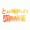 とある喇叭の超腹痛薬（セイロガン）