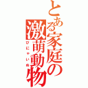 とある家庭の激萌動物（ぴにゃいぬ）