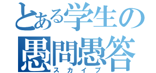 とある学生の愚問愚答（スカイプ）