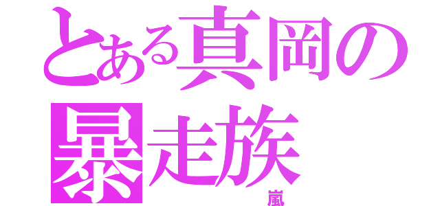 とある真岡の暴走族（   嵐）