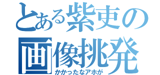 とある紫吏の画像挑発（かかったなアホが）