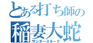 とある打ち師の稲妻大蛇（サンダースネーク）