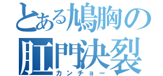 とある鳩胸の肛門決裂（カンチョー）