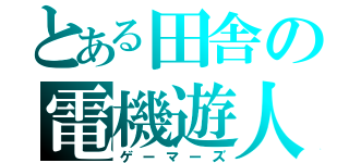 とある田舎の電機遊人達（ゲーマーズ）