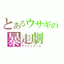 とあるウサギの暴走劇（ラッシュゲーム）