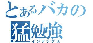 とあるバカの猛勉強（インデックス）