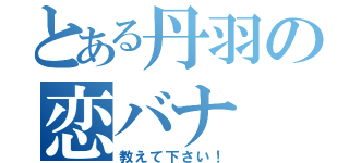 とある丹羽の恋バナ（教えて下さい！）