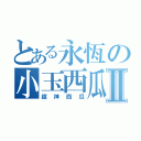 とある永恆の小玉西瓜Ⅱ（超神西瓜）