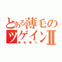 とある薄毛のツゲインⅡ（格安購入）