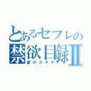 とあるセフレの禁欲目録Ⅱ（愛のカタチ）