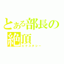 とある部長の絶頂（エクスタシー）