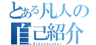 とある凡人の自己紹介（Ｚｉｋｏｓｈｏｕｋａｉ）