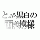 とある黒白の両義模様（モノトーン）