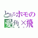 とあるホモの愛角×飛（永遠に）