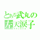 とある武丸の左天涙子（サテンルイコ）