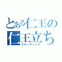 とある仁王の仁王立ち（スタンディング）