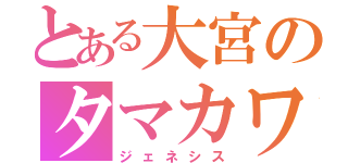 とある大宮のタマカワ祭（ジェネシス）