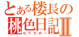 とある楼長の桃色日記Ⅱ（もうだめ～）