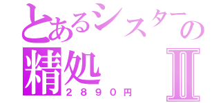 とあるシスターの精処Ⅱ（２８９０円）