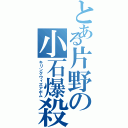 とある片野の小石爆殺（キリングウィズアボム）