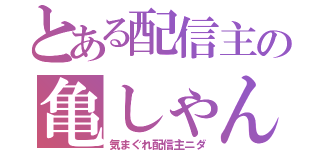 とある配信主の亀しゃん（気まぐれ配信主ニダ）