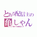 とある配信主の亀しゃん（気まぐれ配信主ニダ）