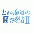 とある魔道の圓號奏者Ⅱ（ホルン吹き）