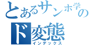 とあるサンホ学園のド変態（インデックス）