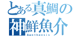 とある真鯛の神鮮魚介（Ａｐｏｔｈｅｏｓｉｓ）