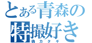 とある青森の特撮好き（偽カタギ）