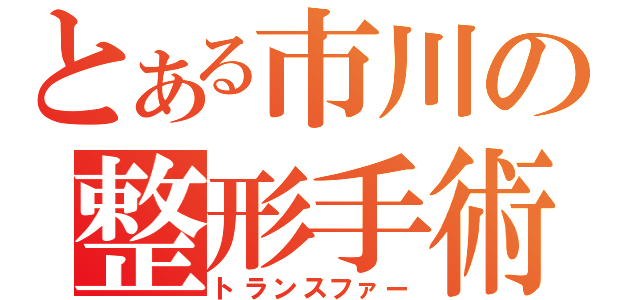 とある市川の整形手術（トランスファー）