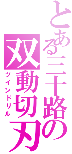 とある三十路の双動切刃（ツインドリル）