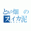 とある畑のスイカ泥棒（ながぷり）